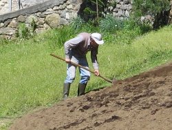 Piccola proprietà contadina: abolito il certificato dell'ispettore