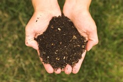 Entrate: i fanghi agricoli costituiscono due diversi redditi