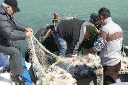 Inps: pubblicata la circolare relativa ai pescatori autonomi