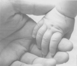 Assegni di maternità: l'Inps comunica gli importi del 2011