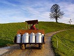 In Svizzera viene abolita la tassa sulla produzione di latte