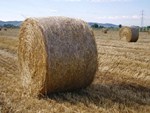 Attività agricole connesse: i chiarimenti delle Entrate